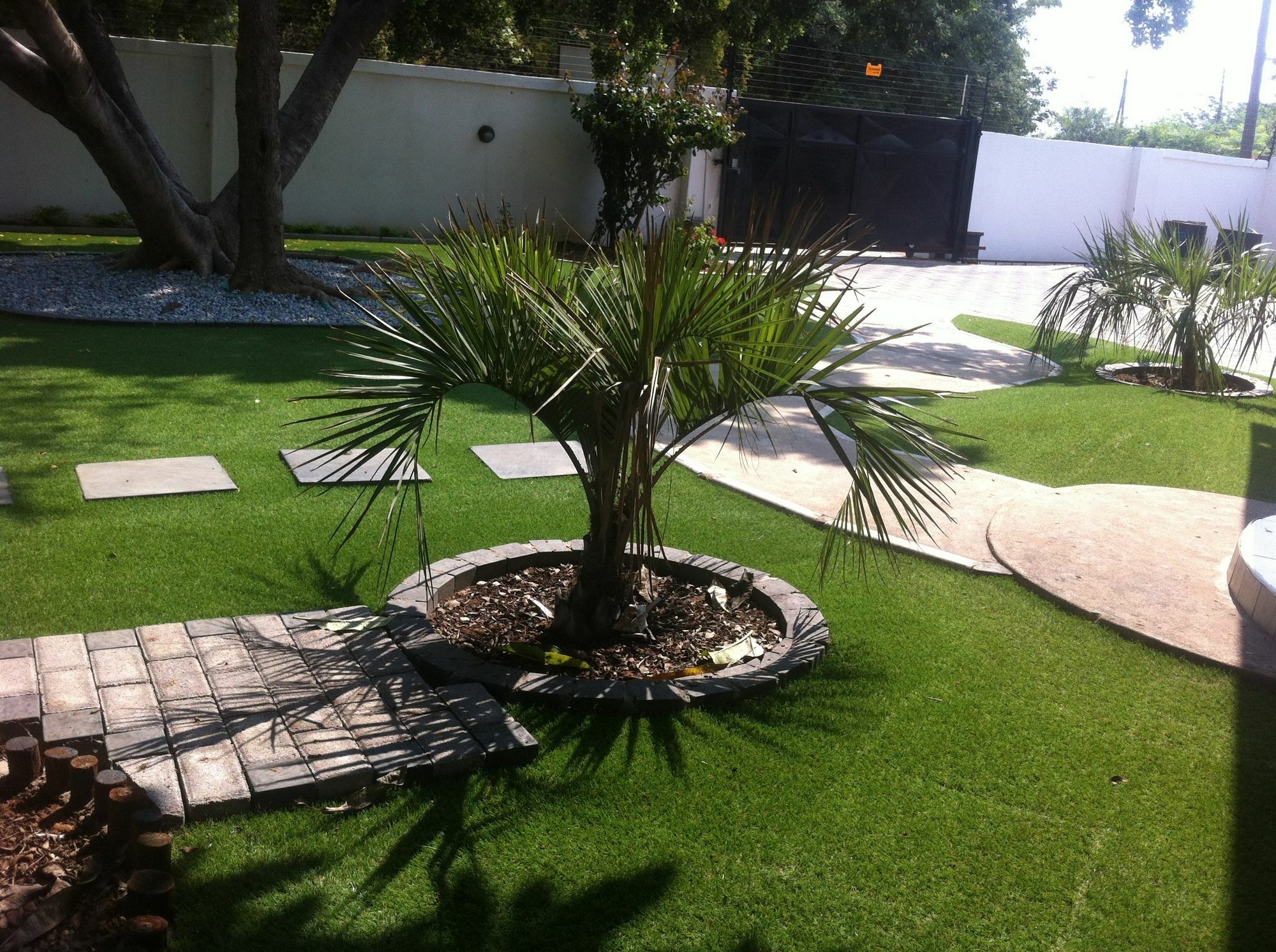 Cosy Palms Bed & Breakfast Габороне Екстериор снимка